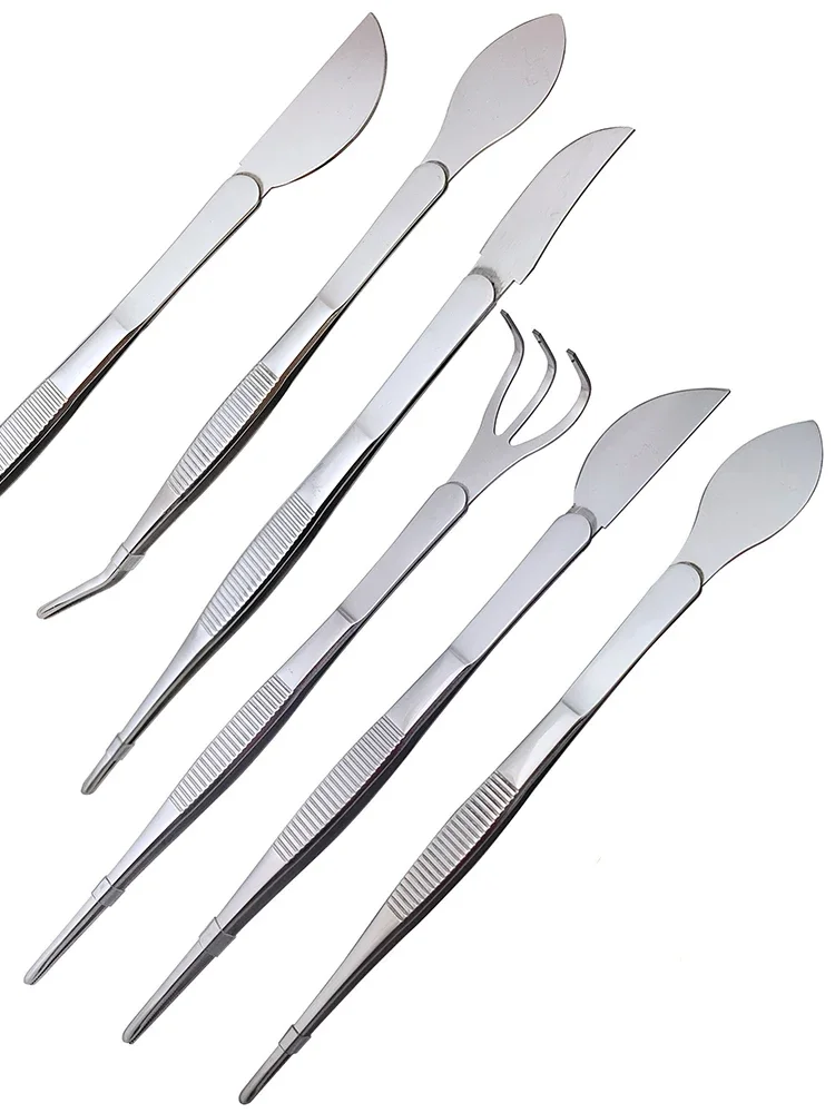 1pc 2-in-1  304 Stainless Stee – обзор и цена Scissors Stainless Craft